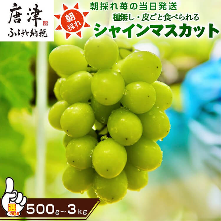 バナー
